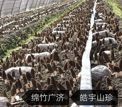 &#24320;&#20803;&#32593;&#31449;&#30331;&#24405;&#20837;&#21475;&#95;&#24320;&#20803;&#65288;&#20013;&#22269;&#65289;